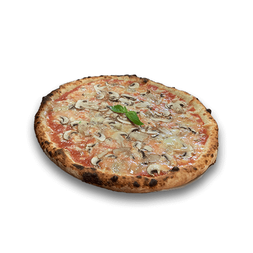 Funghi